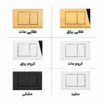 کلید تخلیه توکار برند فلاش تانک ایران مدل فلت در رنگ های سفید ، مشکی ، کروم براق ، کروم مات ، طلایی براق ، طلایی مات . ارسال سریع به سراسر کشور . امکان خرید اقساطی دیجی پی ارزان.