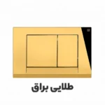 کلید تخلیه توکار برند فلاش تانک ایران مدل فلت در رنگ های سفید ، مشکی ، کروم براق ، کروم مات ، طلایی براق ، طلایی مات . ارسال سریع به سراسر کشور . امکان خرید اقساطی دیجی پی ارزان.